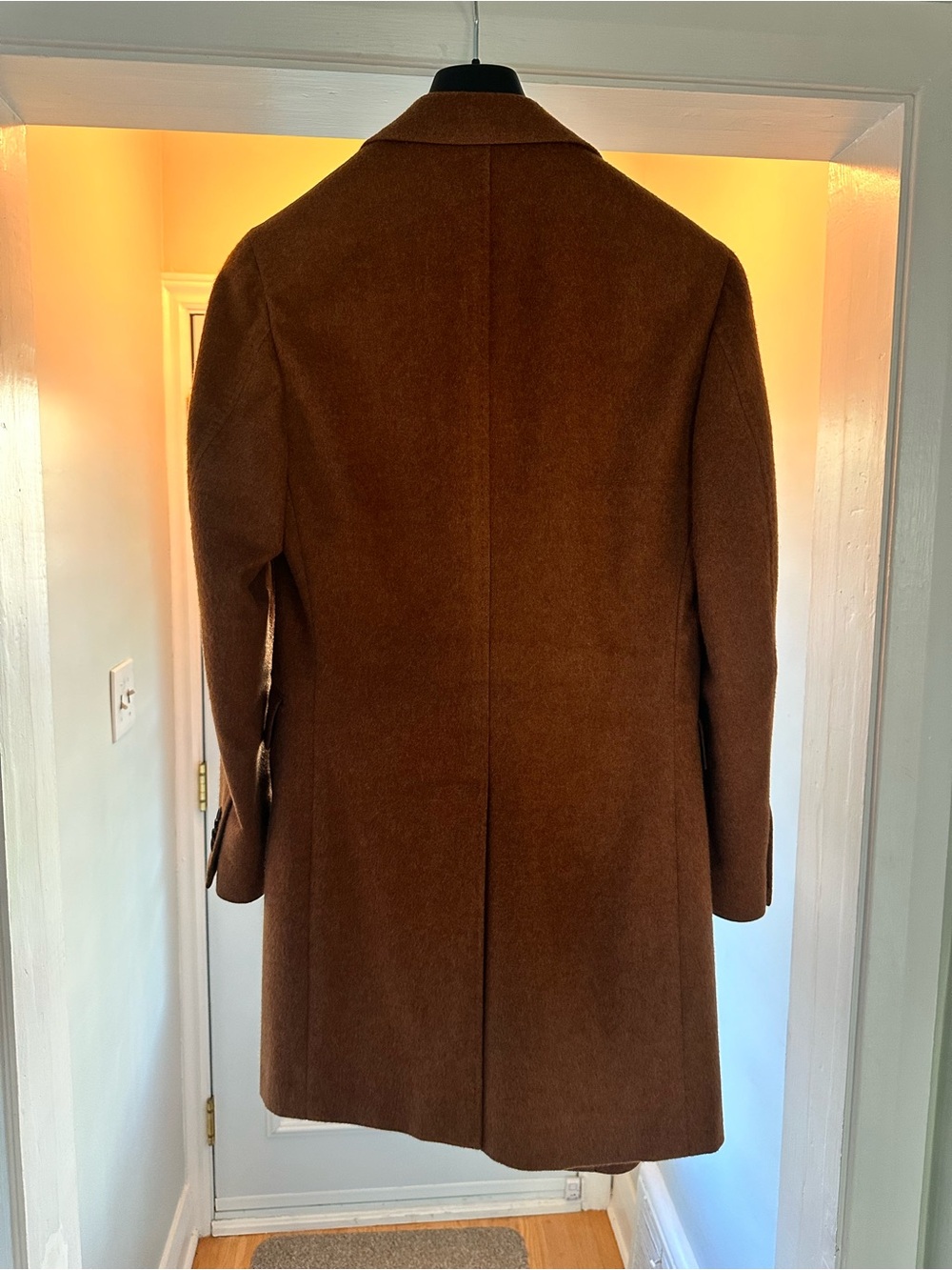 Suitsupply Cashmere Double-Breasted Top Coat - Picture 7 of 11